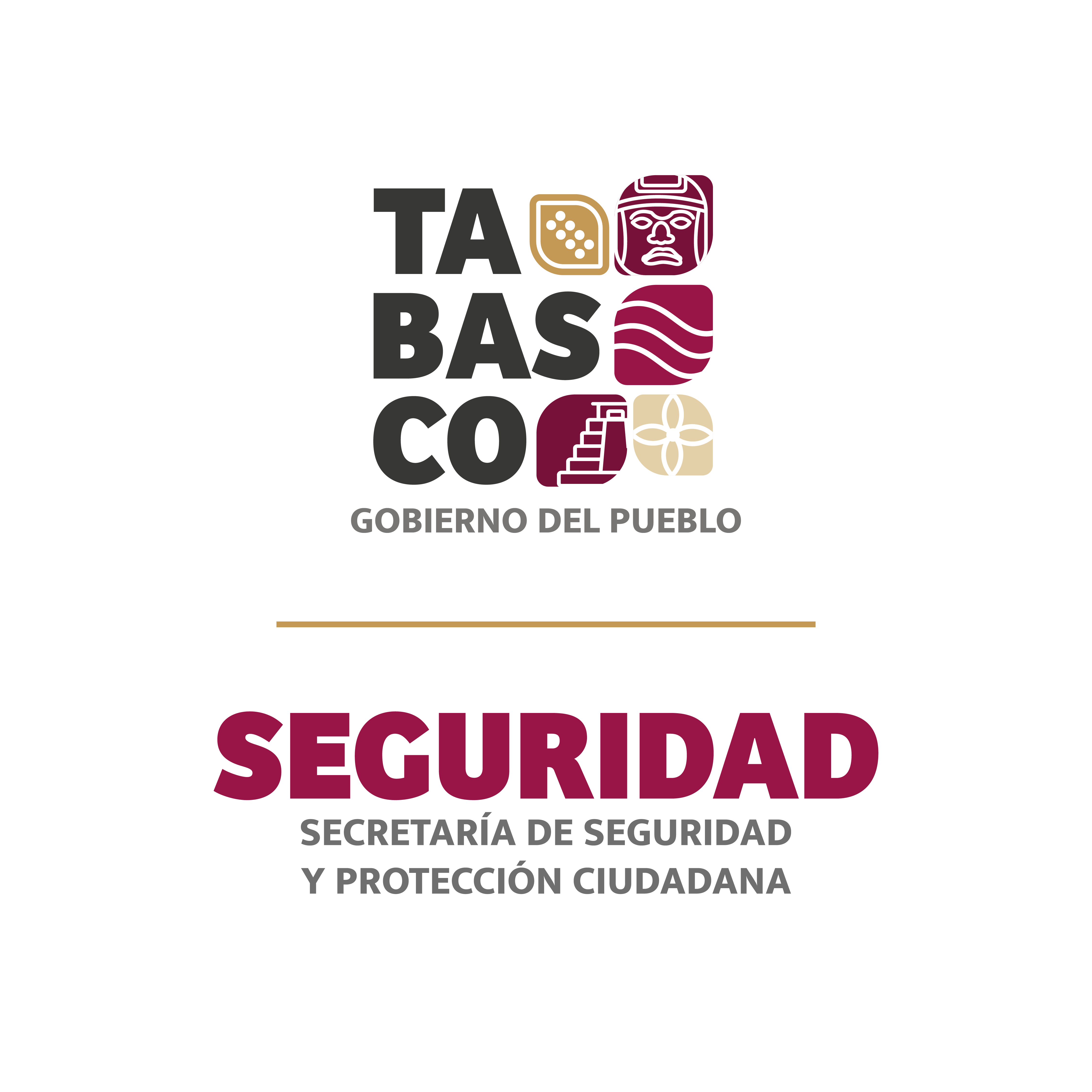 Secretaria de Seguridad y Protección Ciudadana